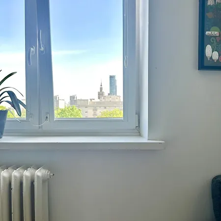Z Widokiem Na Palac I Kosciol. 公寓 华沙